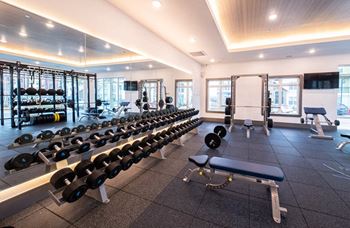 2-Story, tech advanced fitness center with cardio and strength training equipment